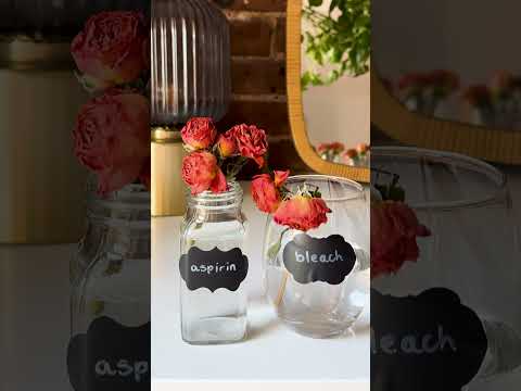 Make Tulips Last Longer: 5 Professional Suggestions To Assist They Keep Recent In A Vase Make Tulips Last Longer: 5 Professional Suggestions To Assist They Keep Recent In A Vase
